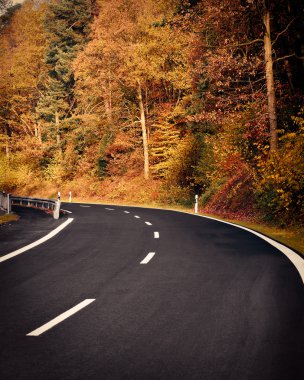 Sonbaharda kır yolu