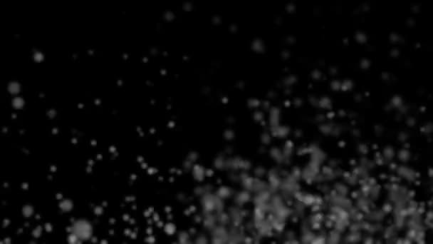 alpha video background alpha video background