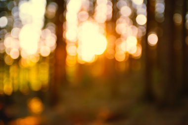 Soyut sonbahar arkaplanı