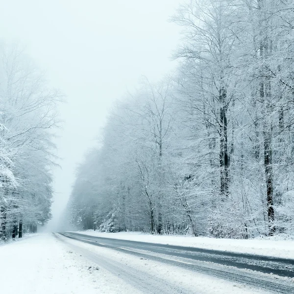 Зима — стоковое фото