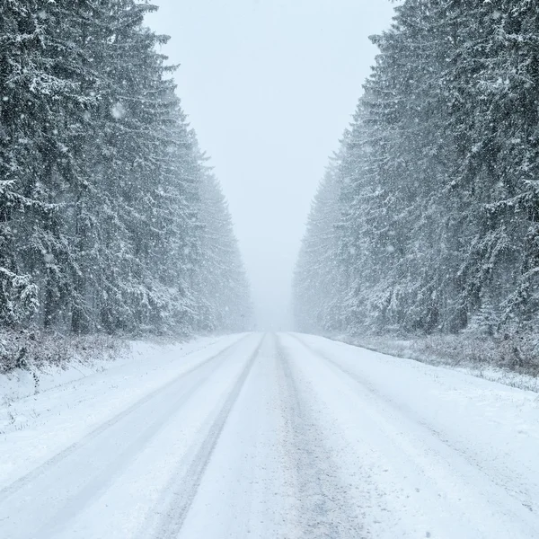 Vinter - tunga snöfall — Stockfoto