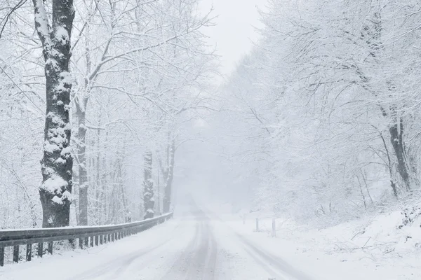 Fondo de invierno - Camino de invierno —  Fotos de Stock