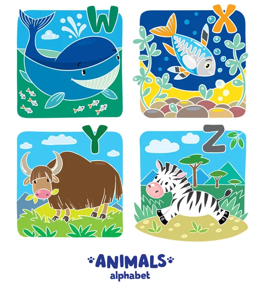 Alfabeto de animales o ABC . — Vector de stock