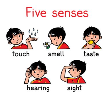 Five senses icon set clipart