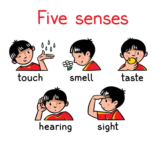 Cinco sentidos icono conjunto — Vector de stock
