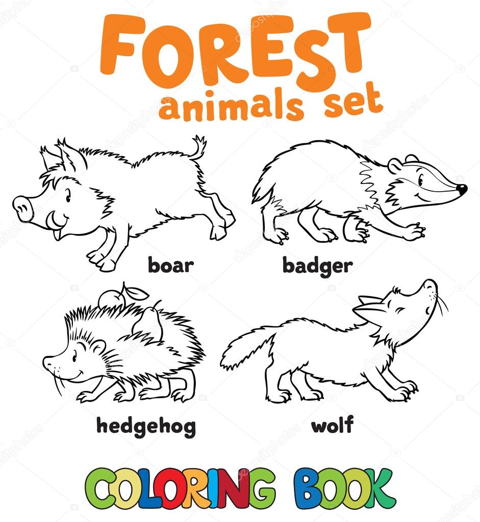 Download Forest Animals Coloring Book Vector Image By C Passengerz Vector Stock 124165738