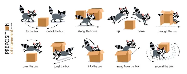 Preposition of movement. Raccoon and the box — Stock Vector