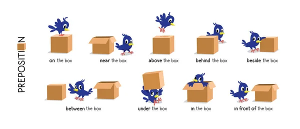 位置设置的介词。鸟和盒子 — 图库矢量图片