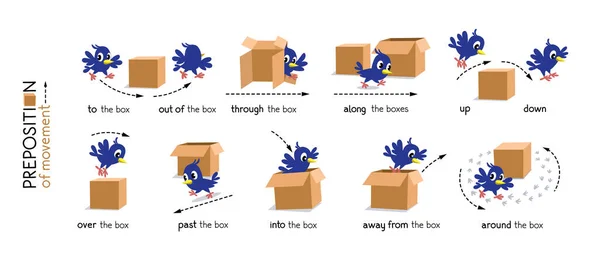 Preposición de movimiento. Pájaro y la caja — Vector de stock