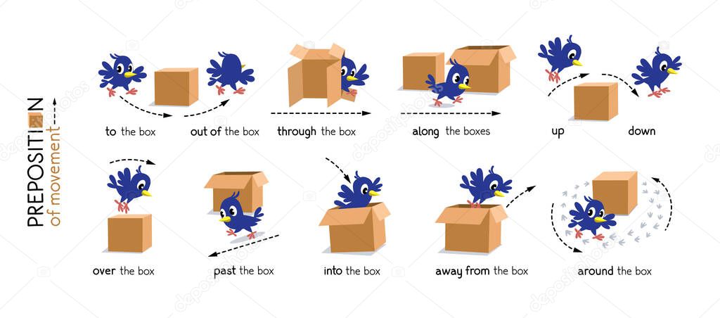 Preposition of movement. Bird and the box