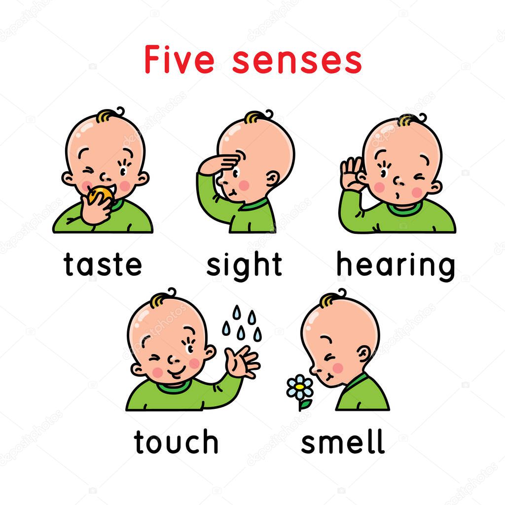 Five senses icon. Touch, taste hearing sight smell