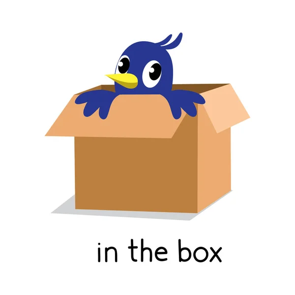 場所の前提。箱の中の鳥 — ストックベクタ