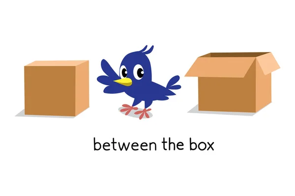 Preposición de lugar. BIrd entre dos cajas — Vector de stock