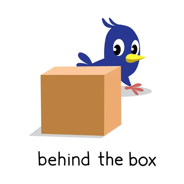 Preposición de lugar. Pájaro detrás de la caja — Vector de stock