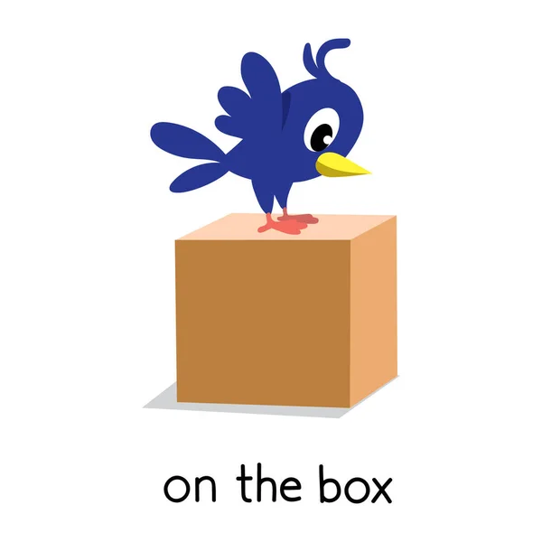 Przyimki miejsca. Ptak na pudełku. — Wektor stockowy