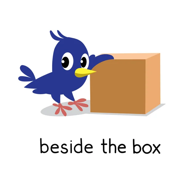 Preposición de lugar. Pájaro junto a la caja — Archivo Imágenes Vectoriales