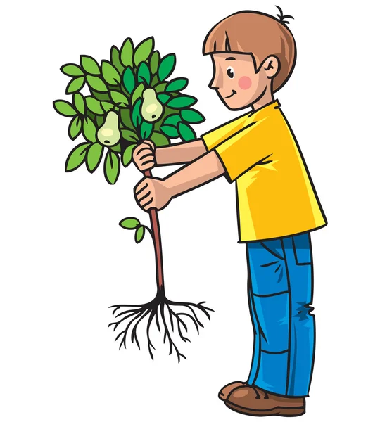 Niño el jardinero con un árbol — Vector de stock
