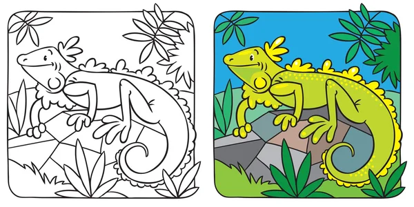 Little iguana coloring book — Stock Vector