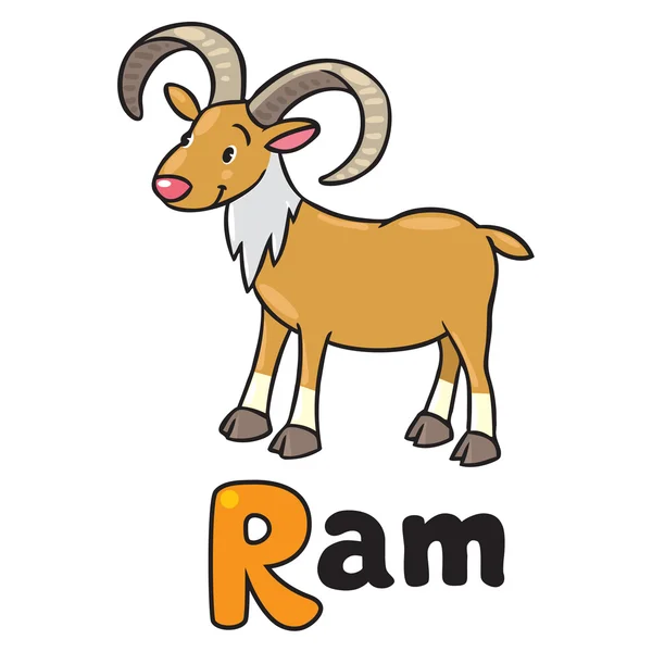 Little funny urial or ram, for ABC. Alphabet U — Stock Vector