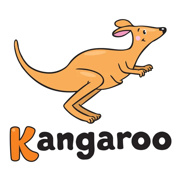 Kis kenguru, illusztráció, az Abc. Ábécé K — Stock Vector