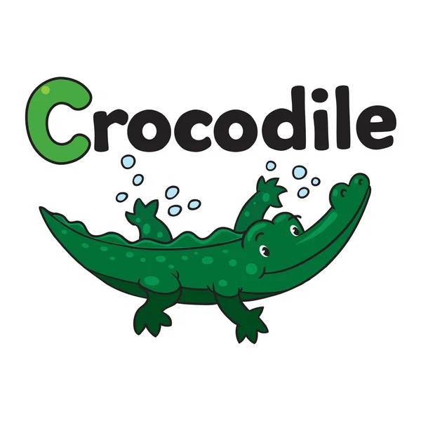 Weinig krokodil of alligator, voor Abc. Alfabet C — Stockvector