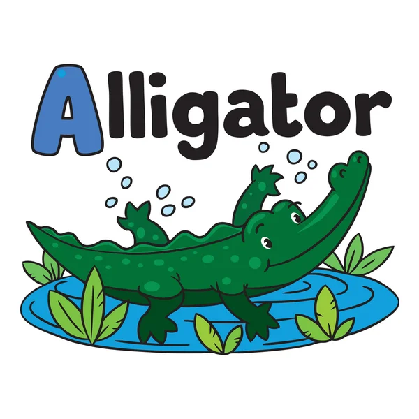 Little alligator or crocodile, ABC. Alphabet A — Stock Vector