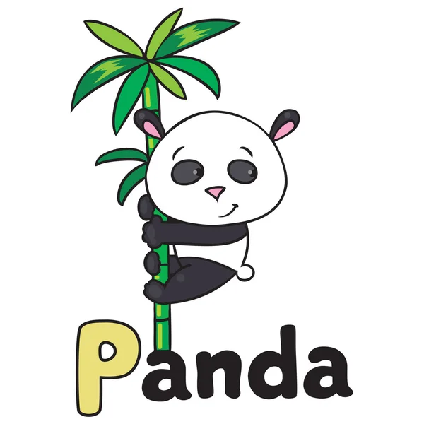 Piccolo panda su bambù, per ABC. Alfabeto P — Vettoriale Stock