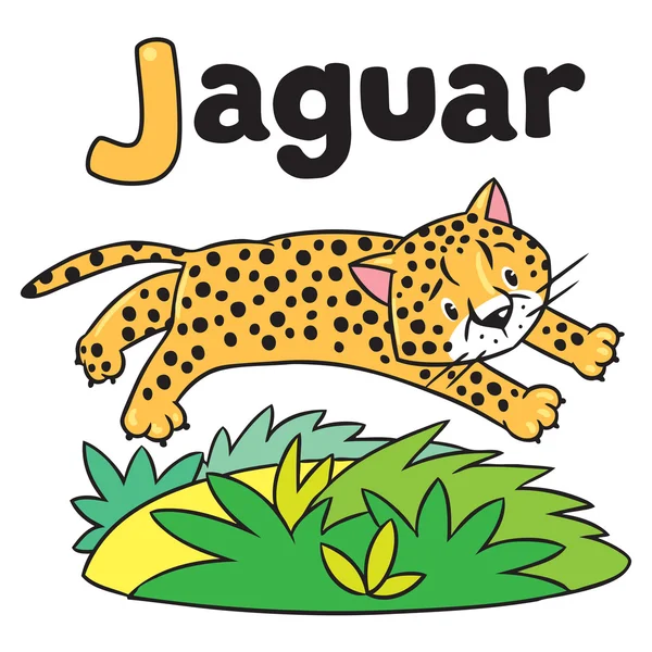 Kleiner Gepard oder Jaguar für Abc. Buchstabe j — Stockvektor