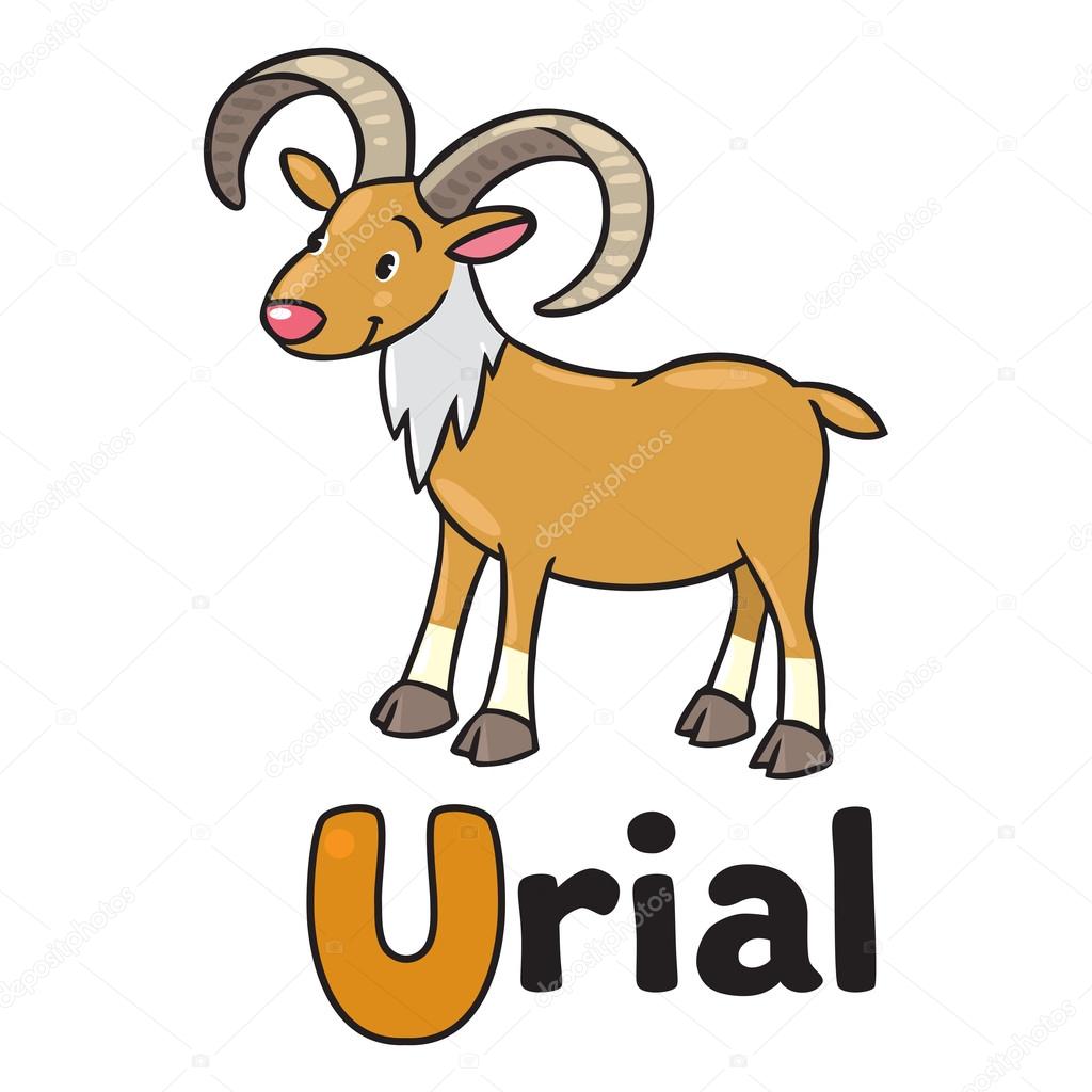 Little funny urial or ram, for ABC. Alphabet U Stock Illustration ...