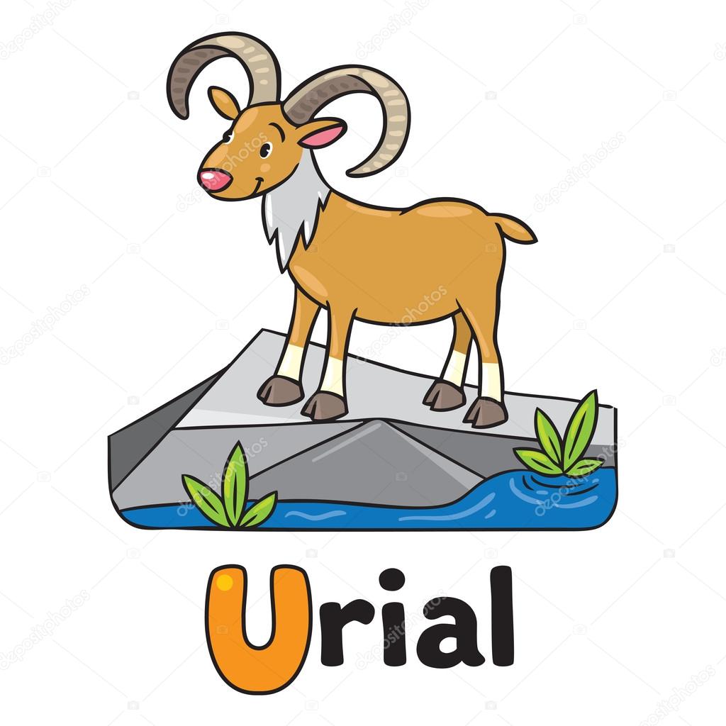 Little funny urial or ram, for ABC. Alphabet U Stock Vector by ...