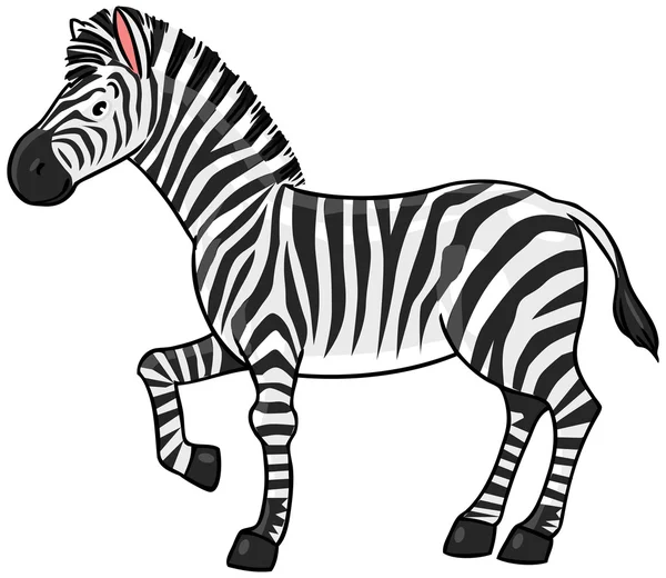 Zebra. — Stock Vector