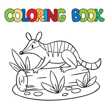 Coloring book of little numbat clipart