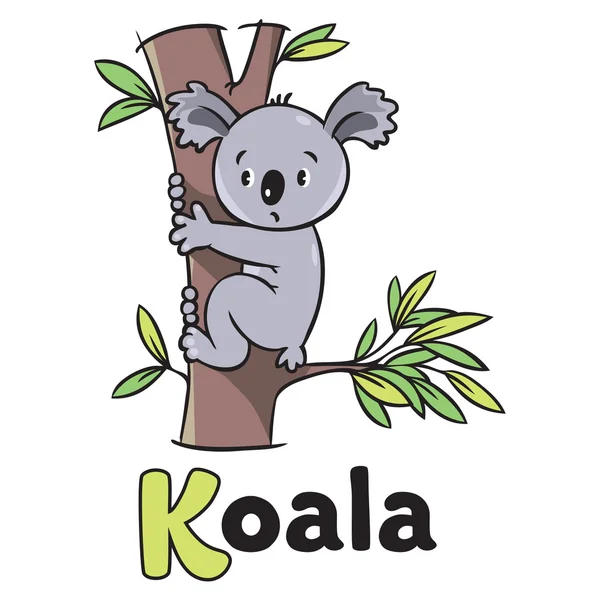 Illustrazione vettoriale per bambini di koala divertente. Alfabeto K — Vettoriale Stock