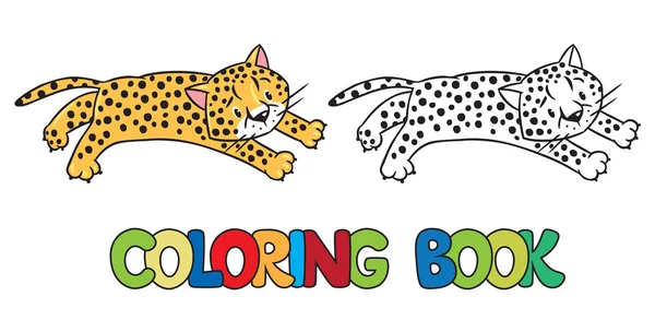 Libro para colorear de pequeño guepardo o jaguar — Vector de stock