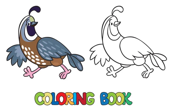 Coloring book of little quail — Stock Vector