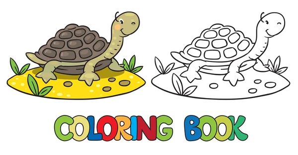 Kitap küçük komik kaplumbağa boyama — Stok Vektör