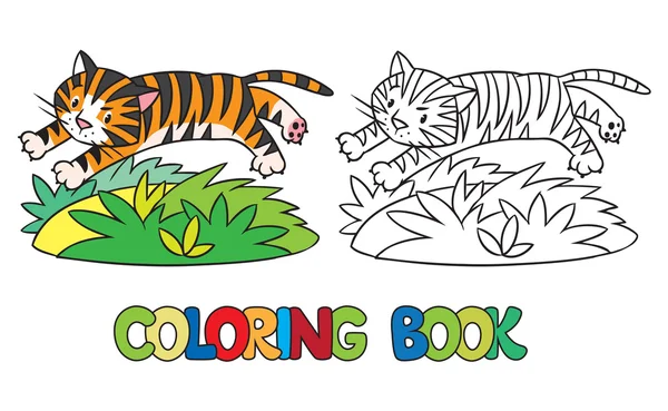 Libro para colorear de tigre salvaje divertido — Archivo Imágenes Vectoriales