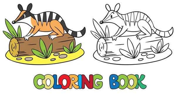 Libro para colorear de pequeño numbat — Vector de stock