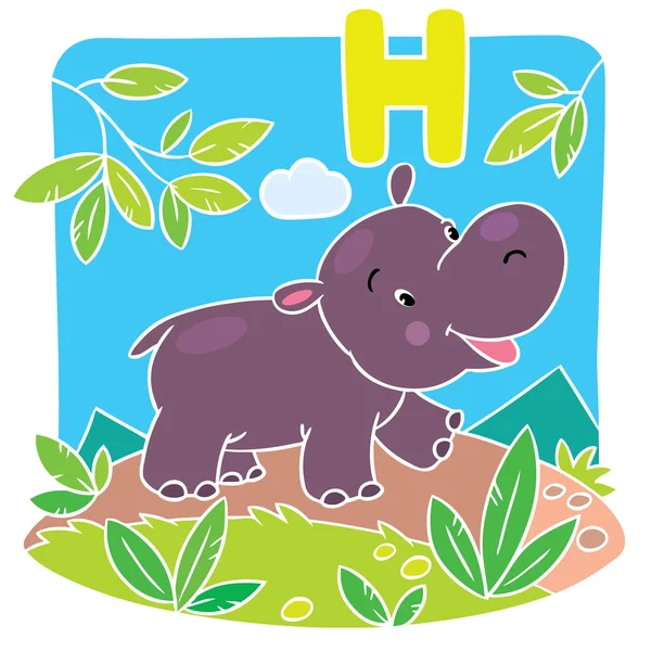 Pequeño hipopótamo gracioso. Alfabeto H — Vector de stock