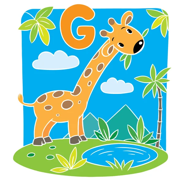 Una jirafa graciosa. Alfabeto G — Vector de stock