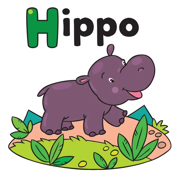 Weinig grappige hippo, voor Abc. Alfabet H — Stockvector