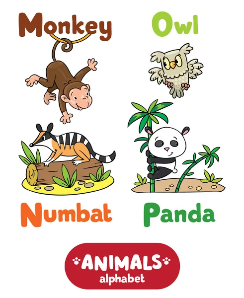 Alfabeto de animales o ABC . — Vector de stock