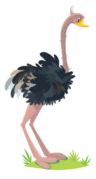 Смішні дивно страуса — стоковий вектор