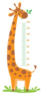Giraffe meter wall vector Giraffe meter wall vector