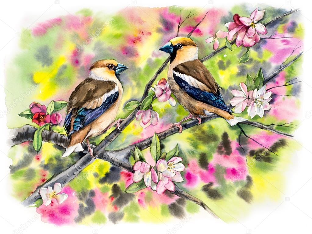 Grosbeaks on a branch with flowers. Decoration with wildlife scene.