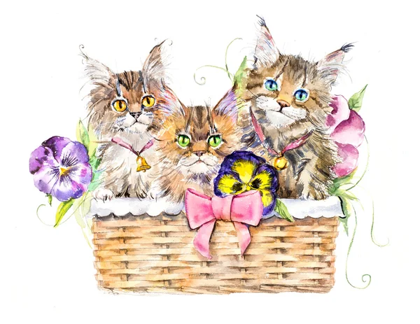 Çiçekli sepet üzerinde üç kedi. 