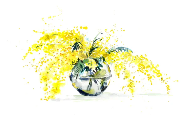Bir vazoda sarı Mimoza. — Stok fotoğraf