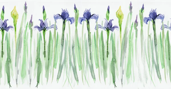 Bordures florales sans couture. Rayures avec iris — Photo