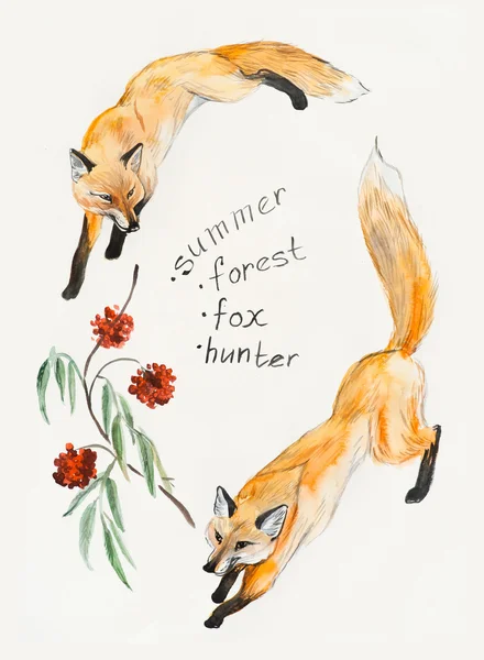 Frame from two foxes. Foxes hunt. — Stock Photo, Image