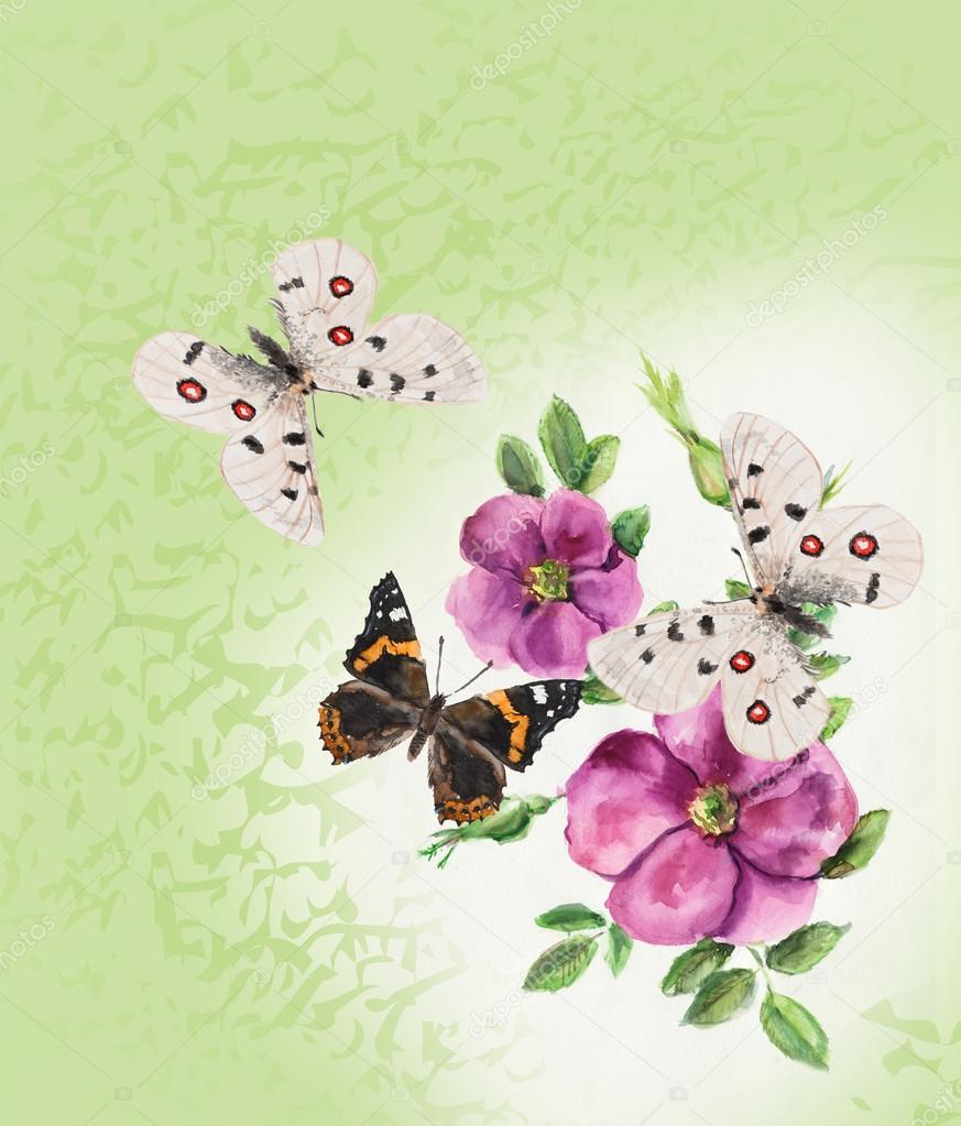 Bouquet of rose with butterflies — Stock Photo © budogosh 52480923